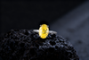 Venlis. V 3.00ct  Oval Cut Yellow Diamond Ring