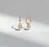 2.00 ct Heart Shape Lab Grown Diamond Drop Earrings (1.00 ct per ear)