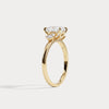 Liora Muse 1ct Elongated Cushion Lab Diamond Three-Stone Engagement Ring
