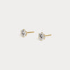 Liora Muse Classic Six-Prong Tulip Lab-Grown Diamond Stud Earrings