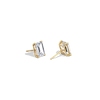 Liora Muse 4 Carat Emerald Cut Lab Grown Diamond 4-Prong Stud Earrings (2 ct each side) 9k Solid Gold