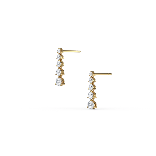 10K Solid Gold Round Dangle Earring With Lab-Grown Diamond