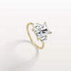 Liora Muse 3.00 Carat Radiant Cut Lab Grown Diamond Ring with 4 Baguette Cut Side Stones 9k Gold