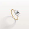 Liora Muse 1CT Radiant Cut Lab Diamond Side Stone Engagement Ring in 10K Solid Gold