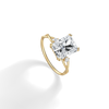 Liora Muse 3.00 Carat Radiant Cut Lab Grown Diamond 4 Prong Ring with 4 mini Side Stone and twisted band 9k Gold