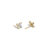 Gold butterfly earrings on a white background