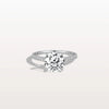Liora Muse 2CT Lab Diamond Pave Hidden Halo Ring-Cathedral Ring in 10K Solid Gold