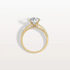Liora Muse 2CT Lab Diamond Pave Hidden Halo Ring-Cathedral Ring in 10K Solid Gold