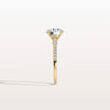 Liora Muse 2CT Lab Diamond Pave Hidden Halo Ring-Cathedral Ring in 10K Solid Gold