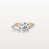 Liora Muse 3CT Lab Diamond Pave Hidden Halo Ring-Cathedral Ring in 10K Solid Gold