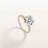 Liora Muse 3CT Lab Diamond Pave Hidden Halo Ring-Cathedral Ring in 10K Solid Gold