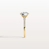 Liora Muse 3CT Lab Diamond Pave Hidden Halo Ring-Cathedral Ring in 10K Solid Gold