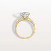 Liora Muse 3CT Lab Diamond Pave Hidden Halo Ring-Cathedral Ring in 10K Solid Gold