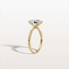 Liora Muse 2CT Oval Cut Lab Diamond Twisted Engagement Ring In 10K Solid Gold