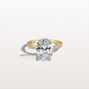 Liora Muse 3CT Oval Cut Lab Diamond Twisted Engagement Ring In 10K Solid Gold