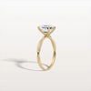 Liora Muse 2CT Asscher Cut Lab Diamond Twisted Engagement Ring In 10K Solid Gold