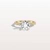 Liora Muse 2CT Round Solitaire Lab-grown Diamond Channel Set Engagement Ring in 10K Solid Gold