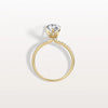Liora Muse 2CT Pear Lab Diamond Engagement Ring with Pave Band in 10K Solid Gold