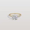 Liora Muse 2CT Lab Diamond Pave Hidden Halo Ring-Cathedral Ring in 10K Solid Gold