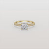 Liora Muse 1CT Round Solitaire Lab-grown Diamond Channel Set Engagement Ring in 10K Solid Gold