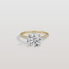 Liora Muse 3CT Lab Diamond Pave Hidden Halo Ring-Cathedral Ring in 10K Solid Gold