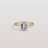 Liora Muse 2CT Emeral Cut Lab Diamond Twisted Engagement Ring In 10K Solid Gold
