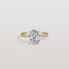 Liora Muse 2CT Oval Cut Lab Diamond Twisted Engagement Ring In 10K Solid Gold